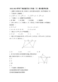 2022-2023学年广东省韶关市八年级（下）期末数学试卷（含解析）