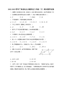 2022-2023学年广东省汕头市潮阳区八年级（下）期末数学试卷（含解析）