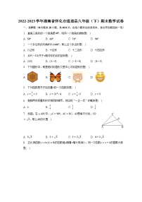 2022-2023学年湖南省怀化市通道县八年级（下）期末数学试卷（含解析）