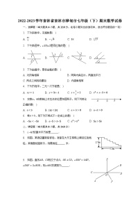 2022-2023学年吉林省吉林市桦甸市七年级（下）期末数学试卷（含解析）