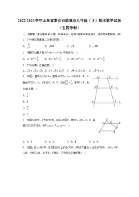 2022-2023学年山东省泰安市肥城市八年级（下）期末数学试卷（五四学制）（含解析）