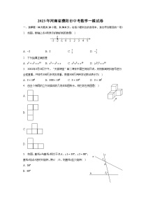 2023年河南省濮阳市中考数学一模试卷（含解析）