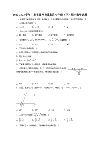 2022-2023学年广东省惠州市惠东县七年级（下）期末数学试卷（含解析）