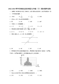 2022-2023学年甘肃省定西市岷县七年级（下）期末数学试卷（含解析）