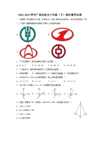 2022-2023学年广西北海市八年级（下）期末数学试卷（含解析）