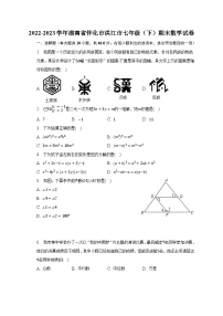 2022-2023学年湖南省怀化市洪江市七年级（下）期末数学试卷（含解析）