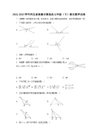 2022-2023学年河北省承德市围场县七年级（下）期末数学试卷（含解析）