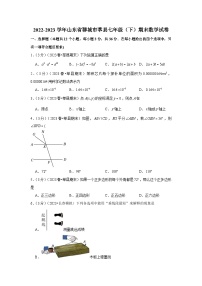 山东省聊城市莘县2022—2023学年下学期七年级期末数学试卷