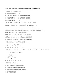 2020年华东师大版八年级数学上册 期末复习检测卷四（含答案）