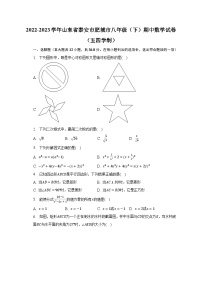 2022-2023学年山东省泰安市肥城市八年级（下）期中数学试卷（五四学制）（含解析）