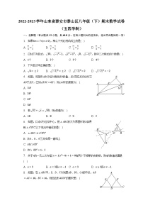 2022-2023学年山东省泰安市泰山区八年级（下）期末数学试卷（五四学制）（含解析）