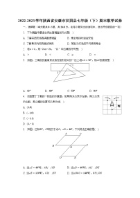 2022-2023学年陕西省安康市汉阴县七年级（下）期末数学试卷（含解析）