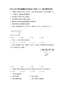 2022-2023学年新疆阿克苏地区七年级（下）期末数学试卷（含解析）