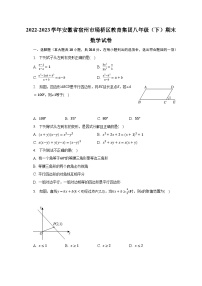 2022-2023学年安徽省宿州市埇桥区教育集团八年级（下）期末数学试卷（含解析）