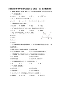 2022-2023学年广西河池市宜州区七年级（下）期末数学试卷（含解析）