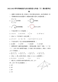 2022-2023学年河南省驻马店市泌阳县七年级（下）期末数学试卷（含解析）