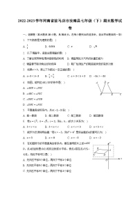 2022-2023学年河南省驻马店市汝南县七年级（下）期末数学试卷（含解析）