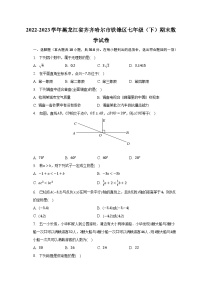 2022-2023学年黑龙江省齐齐哈尔市铁锋区七年级（下）期末数学试卷（含解析）