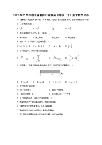 2022-2023学年湖北省襄阳市谷城县七年级（下）期末数学试卷（含解析）