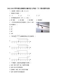 2022-2023学年湖北省襄阳市襄州区七年级（下）期末数学试卷（含解析）