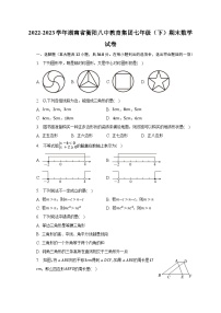 2022-2023学年湖南省衡阳八中教育集团七年级（下）期末数学试卷（含解析）