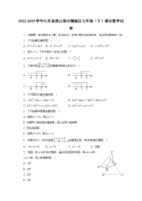 2022-2023学年江苏省连云港市赣榆区七年级（下）期末数学试卷（含解析）