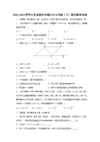 2022-2023学年江苏省泰州市靖江市七年级（下）期末数学试卷（含解析）