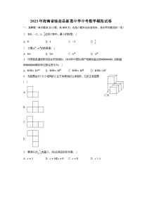 2023年海南省临高县新盈中学中考数学模拟试卷（含解析）