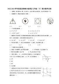 2022-2023学年陕西省渭南市临渭区七年级（下）期末数学试卷（含解析）