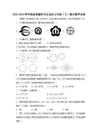 2022-2023学年陕西省榆林市定边县七年级（下）期末数学试卷（含解析）