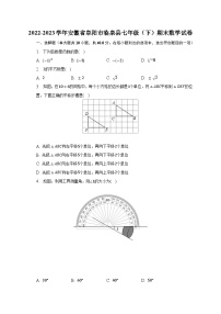 2022-2023学年安徽省阜阳市临泉县七年级（下）期末数学试卷（含解析）