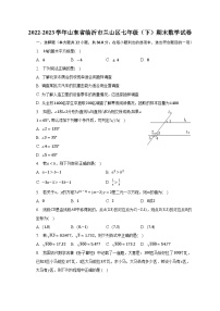 2022-2023学年山东省临沂市兰山区七年级（下）期末数学试卷（含解析）