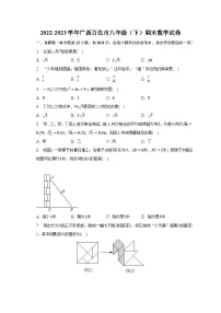 2022-2023学年广西百色市八年级（下）期末数学试卷（含解析）