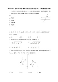 2022-2023学年山东省德州市临邑县七年级（下）期末数学试卷（含解析）