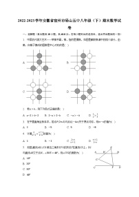 2022-2023学年安徽省宿州市砀山五中八年级（下）期末数学试卷（含解析）