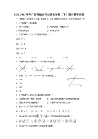 2022-2023学年广西河池市凤山县七年级（下）期末数学试卷（含解析）