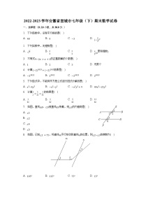 2022-2023学年安徽省宣城市七年级（下）期末数学试卷（含解析）