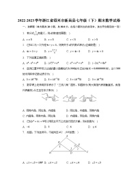 2022-2023学年浙江省绍兴市新昌县七年级（下）期末数学试卷（含解析）