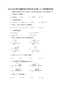 2022-2023学年安徽省池州市东至县七年级（下）期末数学试卷（含解析）