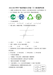 2022-2023学年广东省河源市七年级（下）期末数学试卷（含解析）