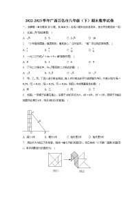 2022-2023学年广西百色市八年级（下）期末数学试卷（含解析）