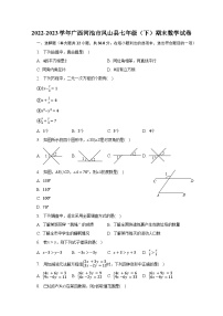 2022-2023学年广西河池市凤山县七年级（下）期末数学试卷（含解析）