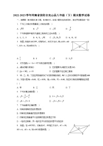 2022-2023学年河南省信阳市光山县八年级（下）期末数学试卷（含解析）