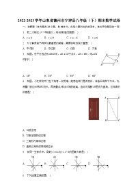 2022-2023学年山东省德州市宁津县八年级（下）期末数学试卷（含解析）