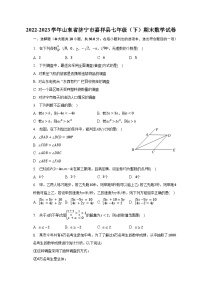 2022-2023学年山东省济宁市嘉祥县七年级（下）期末数学试卷（含解析）