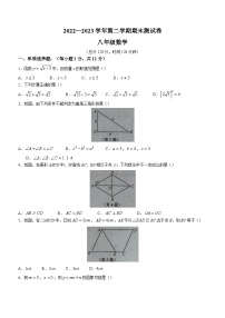 吉林省白城市通榆县2022-2023学年八年级下学期期末数学试题（含答案）