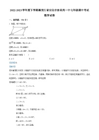 黑龙江省绥化市 安达市吉星岗镇第一中学2022-2023学年七年级下学期期中数学试题（解析版）