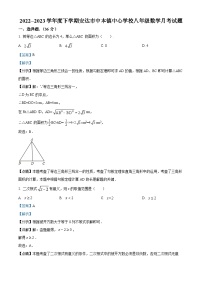 黑龙江省绥化市安达市中本镇中心学校2022-2023学年八年级下学期月考数学试题（解析版）