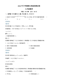 湖南省长沙市浏阳市2022-2023学年九年级上学期期末数学试题（解析版）