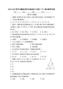 2022-2023学年安徽省阜阳市临泉县八年级（下）期末数学试卷（含解析）